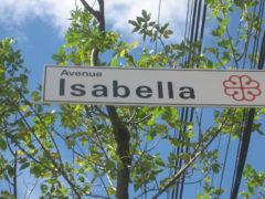 Isabella St.