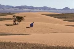 Sand dunes of Sahrawi Arab Democratic Republic