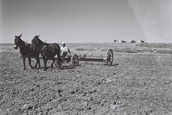 A kibbutz, circa 1946