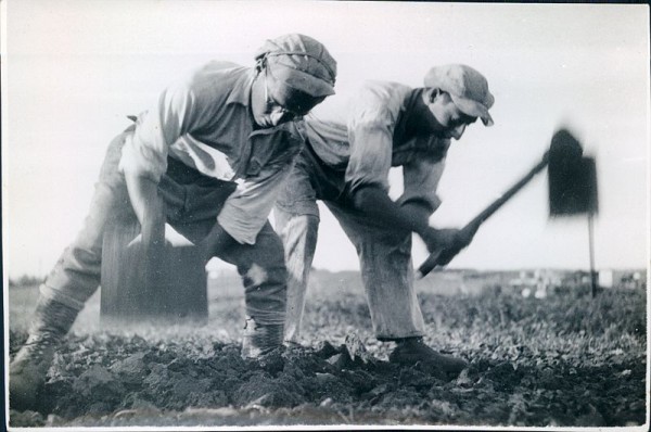 Kibbutzniks in the 1930s