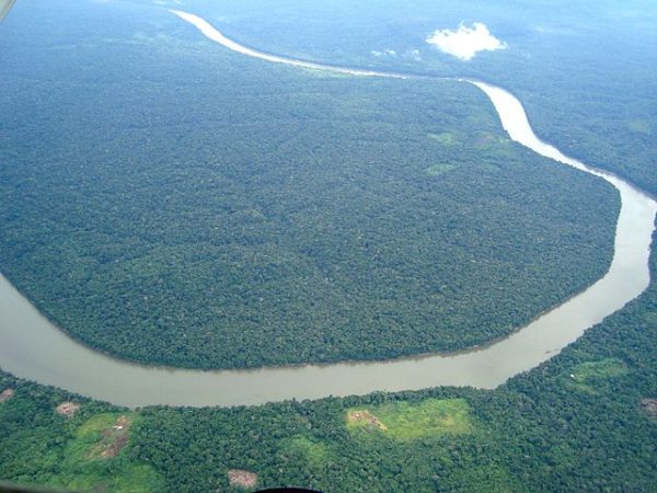 The Amazon River snakes through dense jungles