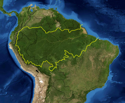 The Amazon rainforest extends into several countries
