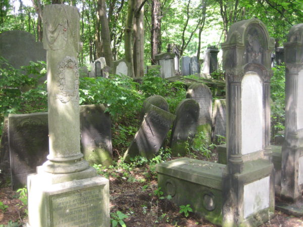 Jewish cemetery in Warsaw