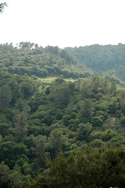Mount Carmel National Park