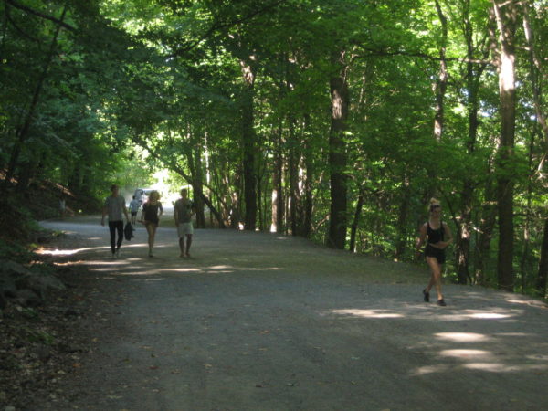 The interior of the park
