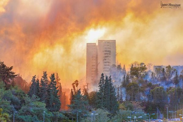 Wildfires have affected cities in Israel