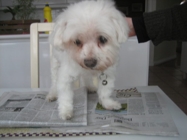 Pablo on the kitchen table